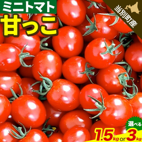 【ふるさと納税】北海道当別町産化学農薬不使用ミニトマト：甘っこ1.5kg or 3kg 選べる内容量 とまと 野菜 新鮮 北海道