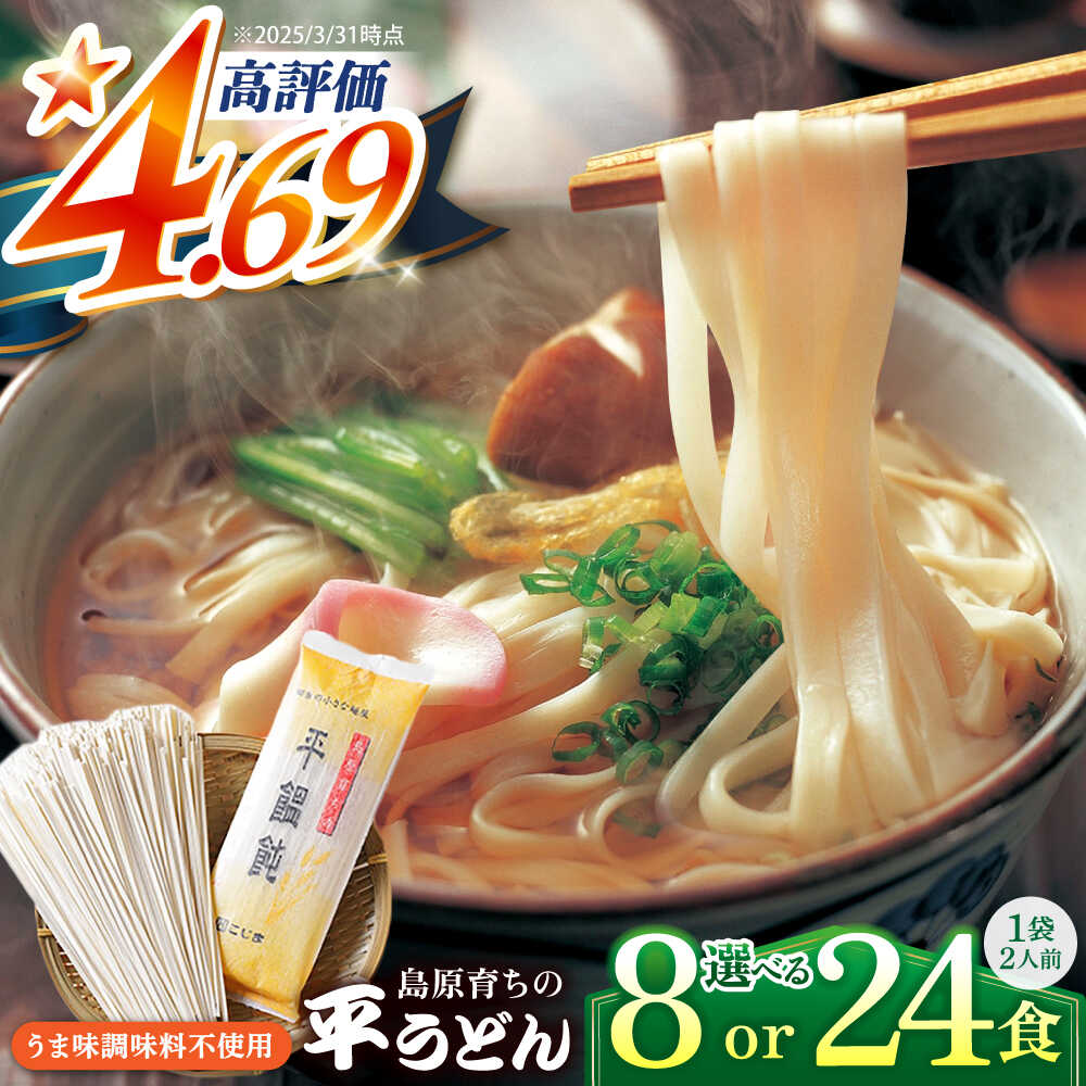 【ふるさと納税】【内容量が選べる】焼あごスープと島原育ちの平うどん 8食 24食 / 楽天限定 うどん 饂飩 ウドン 麺 だし 乾麺 / 南島原市 / こじま製麺 [SAZ006]