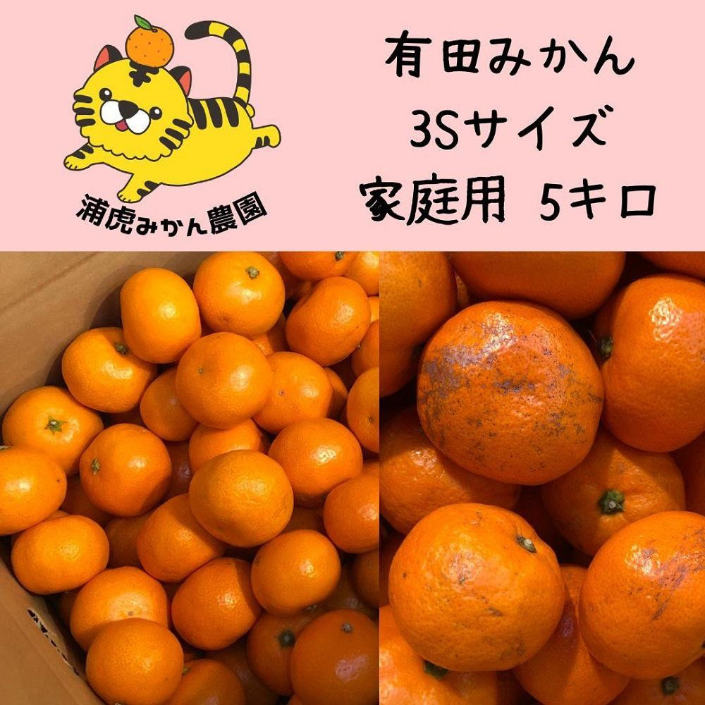 
温州みかん　家庭用5kg ( 3Sサイズ以下指定)小さなミカンが好きな人におすすめ
