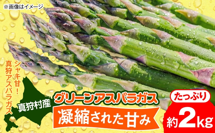 
                  グリーンアスパラガス 2kg  |  アスパラ アスパラガス 野菜 やさい 春 産直 北海道 産地直送 2026 新鮮 食品 おいしい 人気 アスパラ あすぱら あすぱらがす BBQ 旬野菜 |  道の駅 真狩フラワーセンター [BPAM018]
                