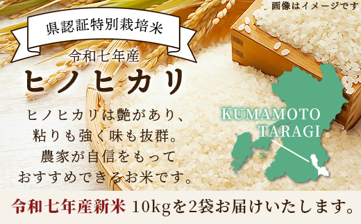 【令和7年 新米予約】特別栽培米「ヒノヒカリ」20kg 精米 井上農園 10月より順次出荷 熊本県 お米 白 米 精米 ひのひかり 国産 114-0603