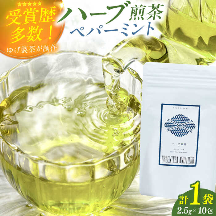 【ふるさと納税】ペパーミントティーバッグ2.5g×10包 お茶 八女茶 ハーブティー ペパーミント ティーバッグ 5千円 5000円 5,000円 広川町 / ゆげ製茶[AFAG017]