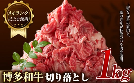 博多和牛切り落とし 1000g (500ｇ×2パック)《30日以内に出荷予定(土日祝除く)》 博多和牛 牛肉 A4ランク---sc_fmphwgkiri_30d_24_13000_1000g---