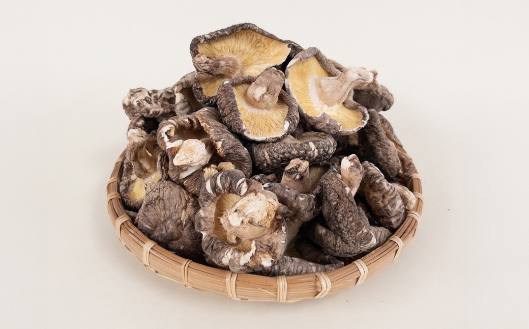 大分県産原木栽培乾しいたけ 業務用 バレ椎茸お徳用 約800g （約400g×2袋）FBR26