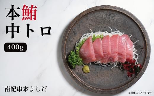 南紀串本よしだ 本鮪 中トロ サク400g