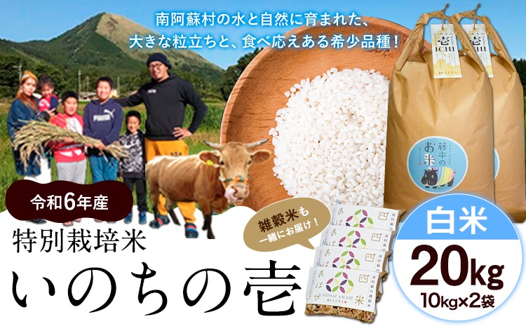 新米 令和6年産 特別栽培米 いのちの壱(白米) 20kg(10kg×2袋) 雑穀米付き《30日以内に出荷予定(土日祝を除く)》 熊本県 南阿蘇村 熊本県産 虹色のかば 白米 雑穀米---sms_inci6_30d_24_50000_20kg---