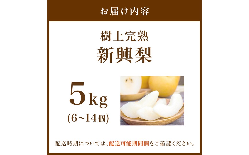 【先行予約】樹上完熟 新興梨 5kg（6～14個）（2026年10月下旬～発送） 果物 フルーツ 梨 5kg 先行予約 完熟 京都 ふるさと納税 新興梨