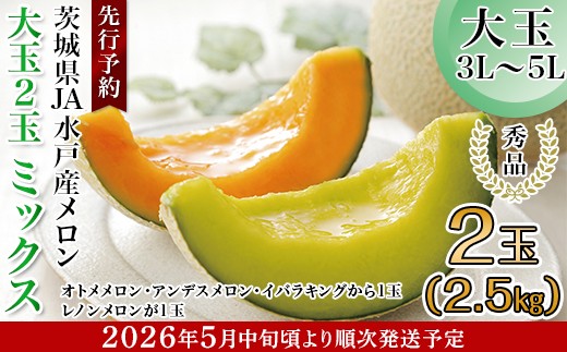 
            214茨城県JA水戸産メロン【秀品】大玉2玉ミックス(2.5kg)【2026年5月中旬頃より発送予定】
          