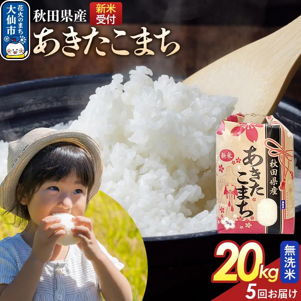 《令和8年産新米予約》 《定期便5ヶ月》【無洗米】あきたこまち 20kg（5kg×4） 秋田県産  こまちライン 秋田県 大仙市産