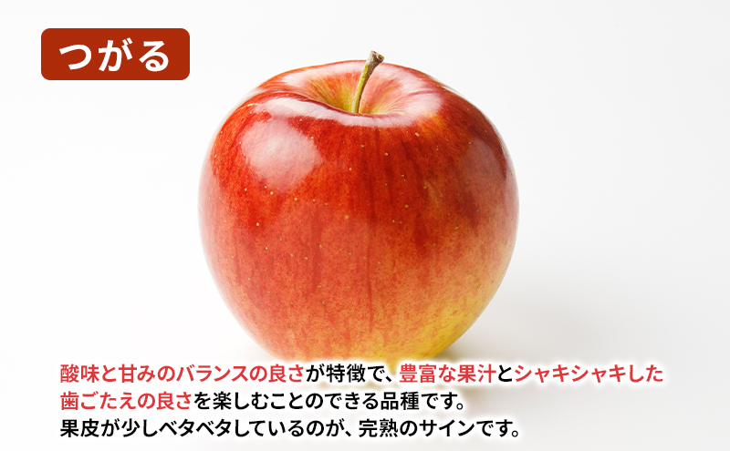 盛岡から「農で人をつなぐ」藤与果樹園：《訳アリ》つがる5kg  訳アリ 不揃い 傷 規格外 フルーツ 果物 旬のフルーツ 旬の果物 旬 冬 岩手 盛岡 産地直送 玉数指定不可 詰め合わせ 岩手 盛岡