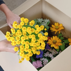 花苗 おすすめ セット 8 - 10 ポット ガーデニング 寄せ植え 季節 お花 贈り物 フラワー ギフト  |    