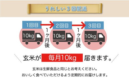 ＜令和7年産米＞ 令和8年3月中旬より発送 雪若丸【玄米】30kg 定期便 (10kg×3回) 山形県真室川町　◆RR7Y3010M-G2603B