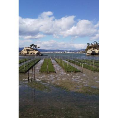 ふるさと納税 相馬市 丸永佐藤海産物店　味と香り相馬セット |  | 01