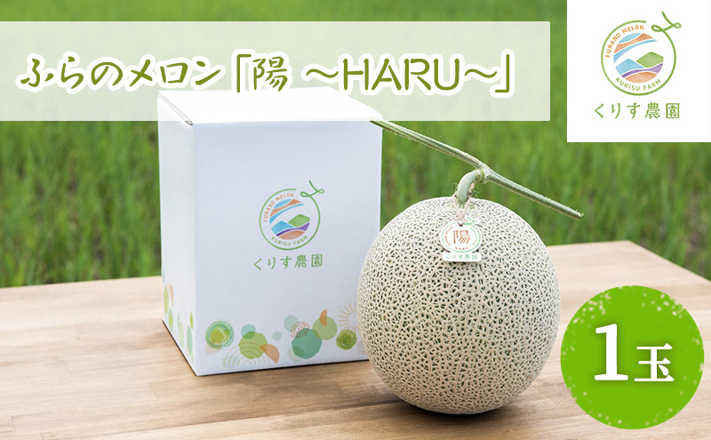 【2025年7月上旬より順次発送】ふらのメロン「陽 ～HARU～」大玉(2.3kg以上)×1玉 ( 赤肉 )( くりす農園 )