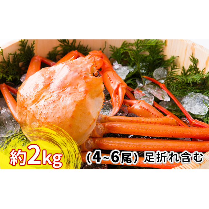 紅ズワイガニ約2kg（4～6尾）【棚辺水産】