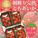 【ふるさと納税】【12月中旬から順次発送】小島さんちのとちあいか レギュラー4パック(1パック 9～15粒)【配送不可地域：離島・北海道・沖縄県・信越、北陸・東海・近畿・中国・四国・九州】【1372188】