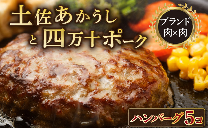 
湯煎するだけ！土佐あかうしと四万十ポークのハンバーグ　５個セット
