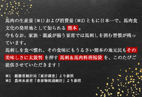 馬刺し 純国産馬刺し＆馬肉料理福袋 計1kg 馬肉 ハンバーグ ソーセージ 《90日以内に出荷予定(土日祝除く)》---ng_fba5syu_90d_22_13000_1kg---