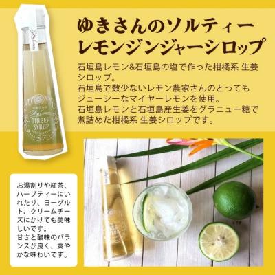 ふるさと納税 石垣市 ジンジャーシロップ飲み比べ3種セット(120ML×3本) |  | 02