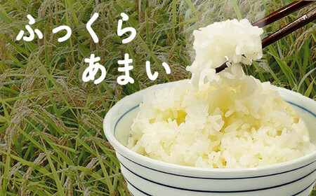 令和7年産　星空舞　10kg（5kg×2袋）