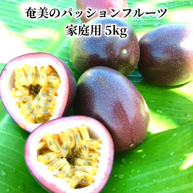 
            【2025年先行予約】奄美のパッションフルーツ 5kg　A041-002
          