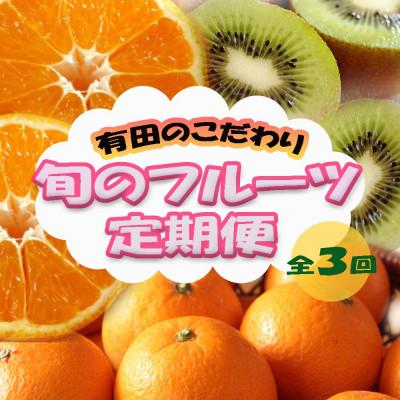 ふるさと納税 有田川町 【発送月固定定期便】有田のこだわりが詰まった旬のフルーツ定期便全3回