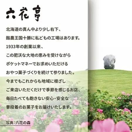 六花亭六花セレクションC 3セット(1セット:マルセイバターサンド20個+マルセイバターケーキ5個)【配送不可地域：離島】【1784607】