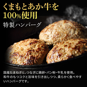 ハンバーグ あか牛 熊本県産 GI認証 ハンバーグ【150g×10】【冷凍】