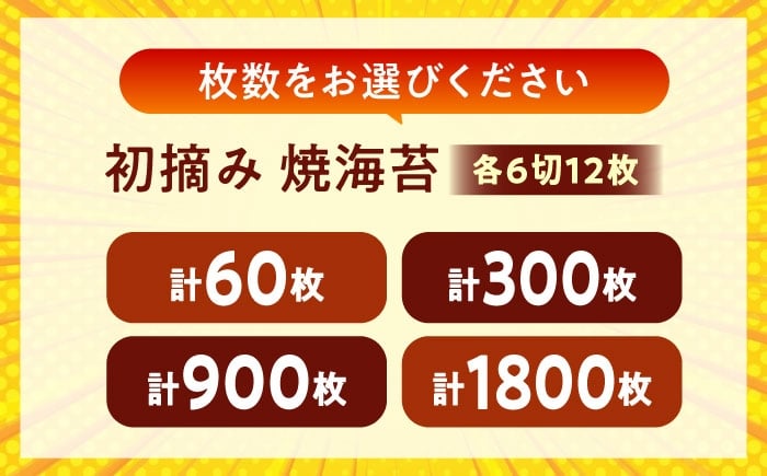 海苔 田島海苔師の焼海苔 5袋入り