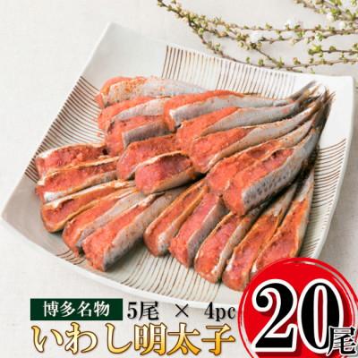ふるさと納税 春日市 【化粧箱入り】いわし明太子 真空(20尾[5尾×4p])(春日市)