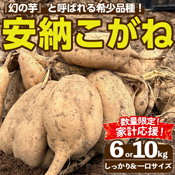 【ふるさと納税】＜先行予約受付中！2026年10月下旬頃より順次発送予定＞内容量が選べる！種子島産 安納こがね(6kgセット or 10kgセット) 家計応援 生活応援 国産 安納芋 黄金 本場 種子島 芋 イモ いも さつまいも さつま芋 安納いも 野菜【なかたね農産】