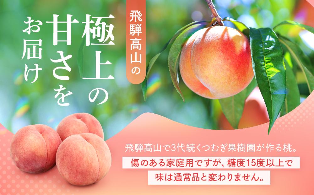【2025年先行予約】【訳あり】飛騨の桃（4-8玉）糖度15度以上 品種おまかせ ご家庭用｜桃 もも 極上の甘さ 濃厚な甘さ 甘い 訳アリ 規格外 朝採り 朝採れ農家直送 飛騨高山つむぎ果樹園 GH0