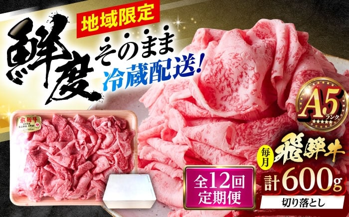 
                  【12回定期便】 ※冷蔵配送/地域限定※ 飛騨牛 切落し (ロースまたは肩ロース) 600g 瑞浪市 / きなぁた瑞浪 和牛 国産 岐阜県産 [AZCI079]
                