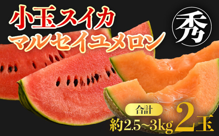 【先行予約】佐藤農園の小玉スイカ・マルセイユメロン セット 計2玉（約2.5kg～3kg） 秀品 農家直送 有機肥料 低農薬 ※2026年6月上旬より順次発送 [aw069-a004]