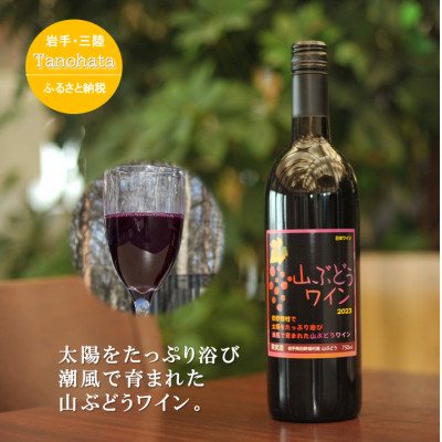 
                  山ぶどうワイン　甘口　750ML　1本【1582754】
                