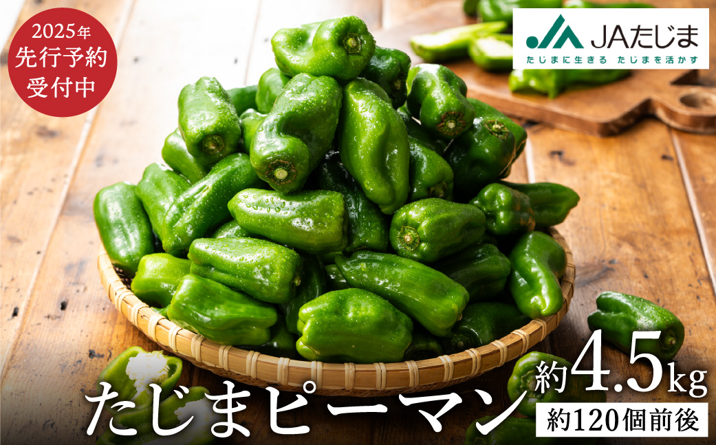 数量限定 たじまピーマン 先行予約 約4.5kg / 肉厚 ピーマン 肉詰め 新鮮 野菜 産地直送 やさい 苦みが少ない 甘みが強い 歯ごたえが良い 濃い緑 夏秋ピーマン【2025年7月中旬頃より順次