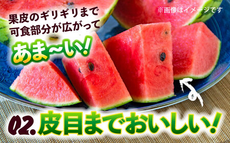 【先行予約】小玉すいか 秀品 2玉 約2kg～3kg【株式会社 Foody’s】[AYAT008]