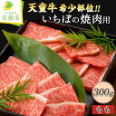 【ふるさと納税】 天童牛 希少 部位!! いちぼ の 焼肉用 ( もも ) 300g 国産 和牛 牛肉 ブランド牛 山形牛 もも肉 サシ 霜降り 赤身 肉 ご家庭用 のし 贈答 お中元 お歳暮 ギフト プレゼント お取り寄せ グルメ 食品 送料無料 【 山形県 天童市 】