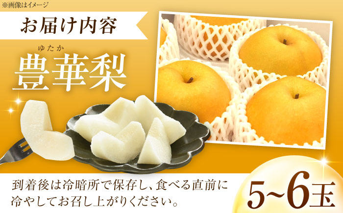 尾形農園の豊華梨(ゆたかなし) 5～6玉入 〈2026年8月～発送〉 ／ 梨 なし フルーツ 果物 くだもの 食品 人気 おすすめ 季節のフルーツ 豊華梨 【株式会社内子フレッシュパークからり】 [B