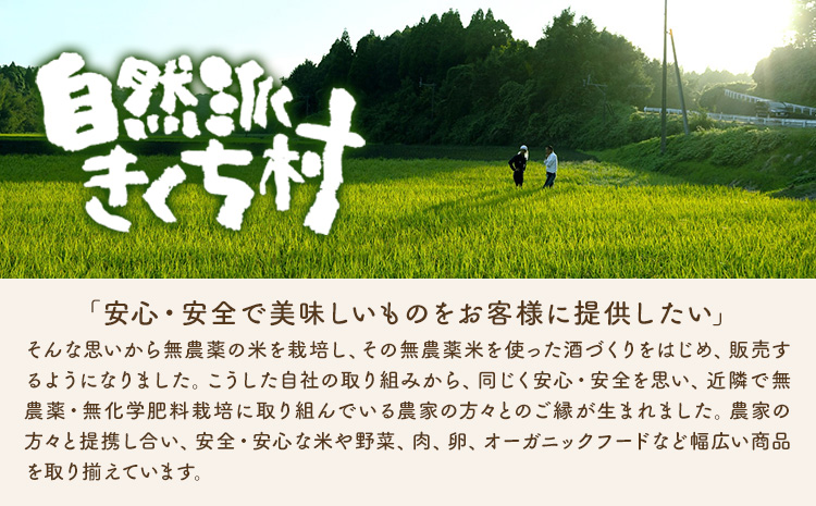 きくち村の 黒炒り 玄米「玄黒茶」計600g（200g×3袋） セット 《30日以内に出荷予定(土日祝除く)》 ---047-0500---