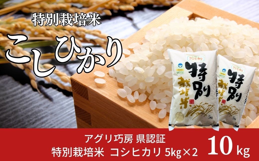 
                  特別栽培米 コシヒカリ10kg（5kg×2） 新潟県認証 令和8年産 新潟県三条市産 こしひかり 【018S025】
                