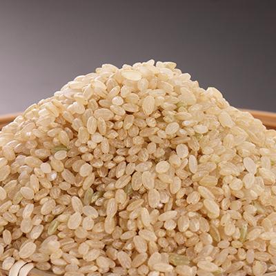 ふるさと納税 大潟村 【玄米】あきたこまち有機米5kg |  | 02