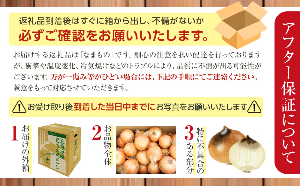 【先行予約】農家直送 低農薬 旭川産 玉ねぎＬサイズ20kg(2026年9月発送開始予定)_05935