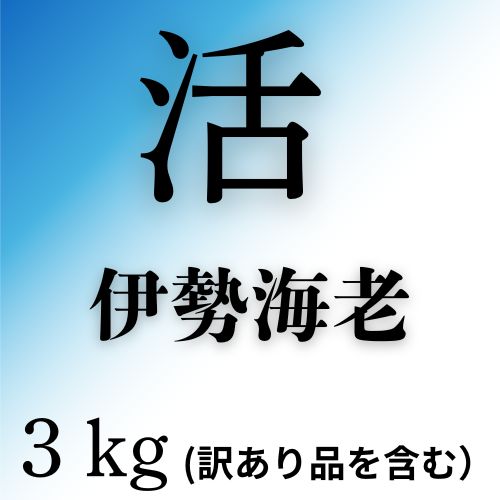【ふるさと納税】活　伊勢海老3kg（訳あり品含む）