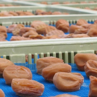 紀州南高梅 うす味梅 500g ご家庭用 【US32】