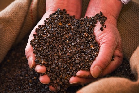 自家製粉 山形の田舎そば「小沢部そば」 64人前（180g×32袋） 大沼製麺所　018-F-ON005