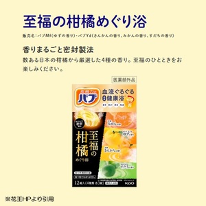 SA2996　花王バブ 至福の柑橘めぐり浴 12錠入×6箱