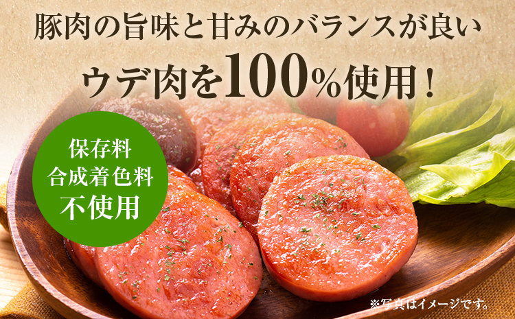 ボロニアソーセージ５本(160g×5)セット ソーセージ ボロニア 名水豚 お肉 ステーキ バーベキュー BBQ 惣菜 豚肉 ウデ肉100% お弁当 朝ごはん 朝食 おかず 福岡県 大木町 お取り寄せ 冷凍 AP14