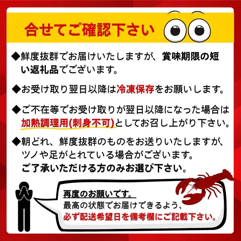 【伊勢海老】 氷締め伊勢海老 1kg以上