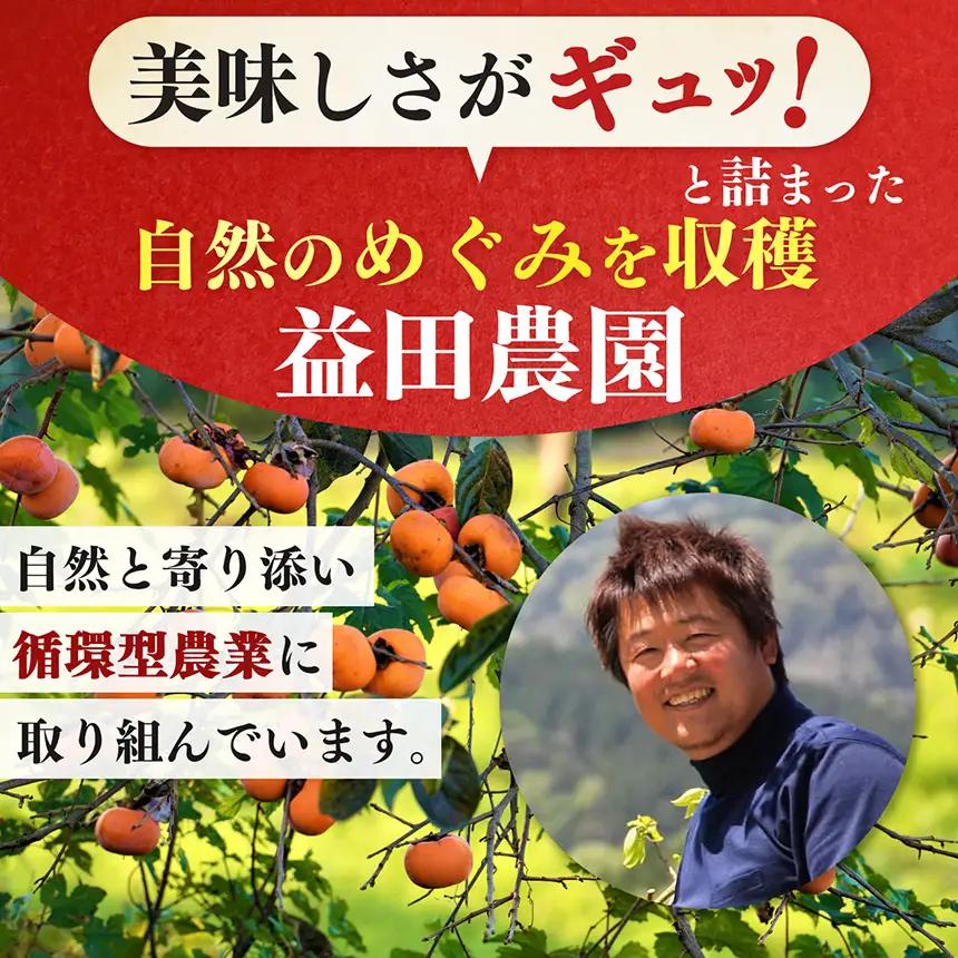 【なら育ち 益田農園】たねなし柿　訳アリ　約1.5kg(5玉～9玉） | 果物 柿 わけあり